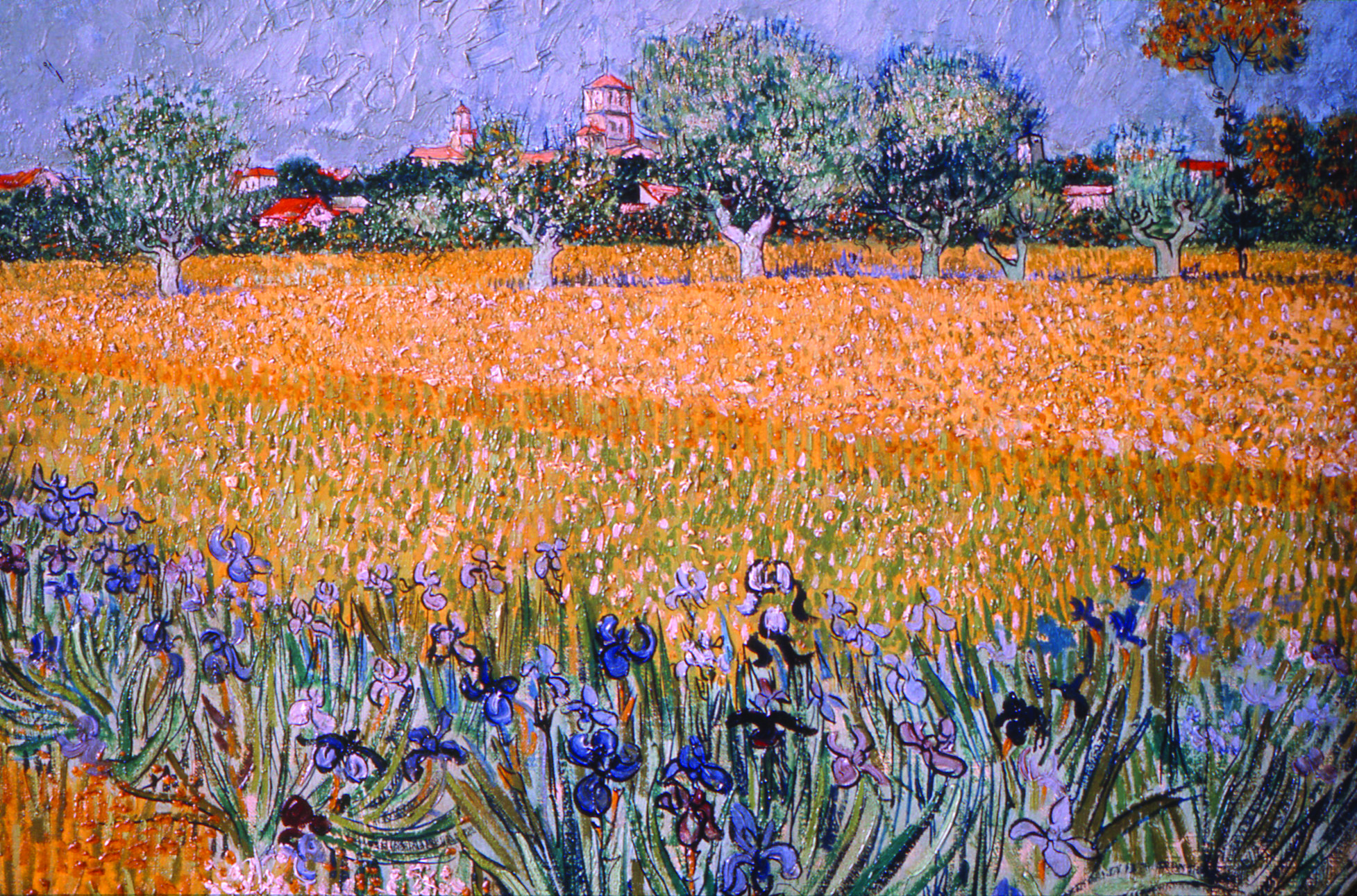 Van-Gogh-Field-with-Flowers